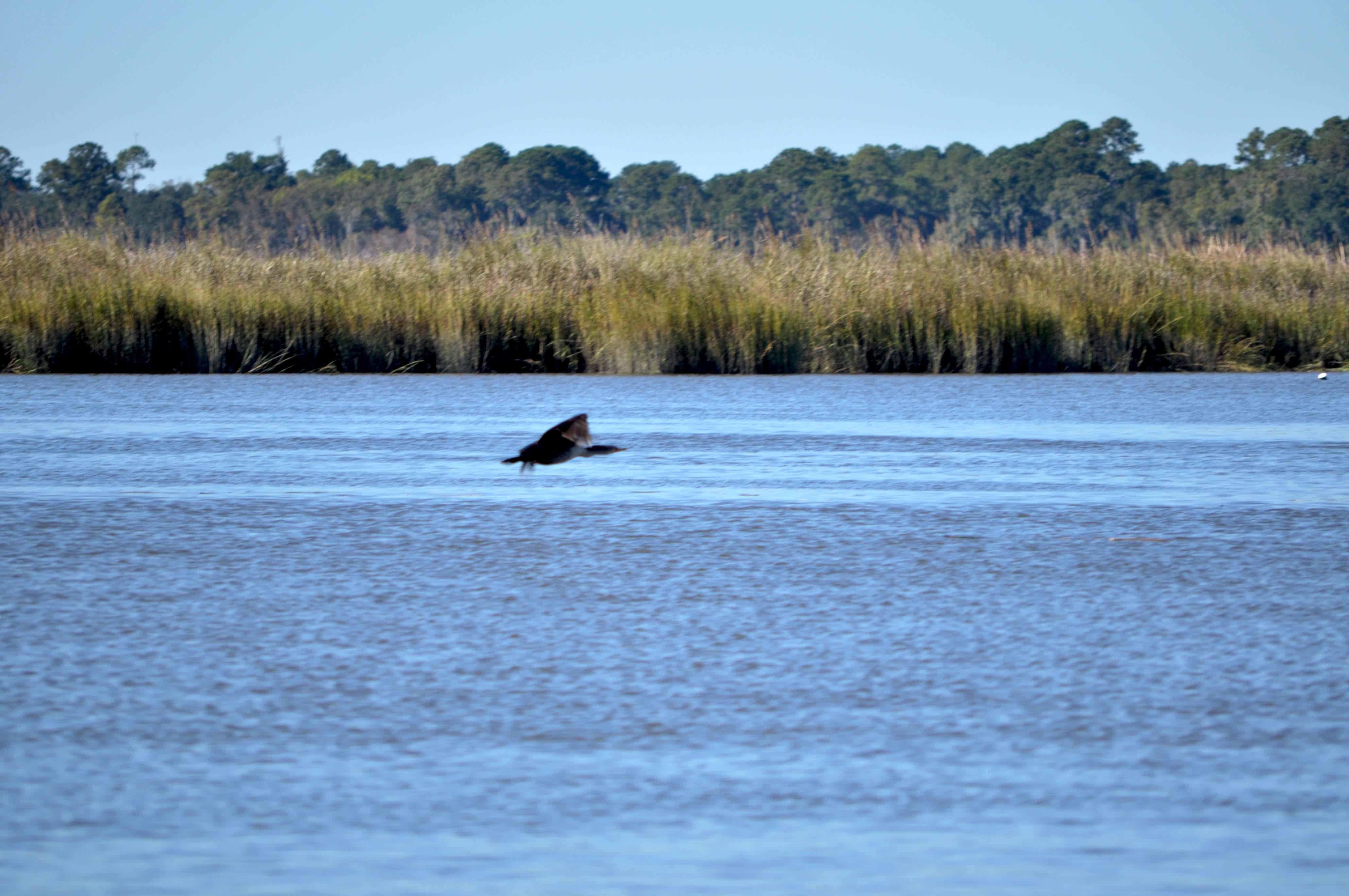 Explore Georgia’s Golden Isles