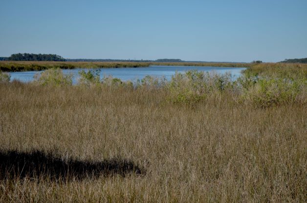 A Visit to Eagle Island