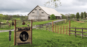 Bowling Green, KY image.