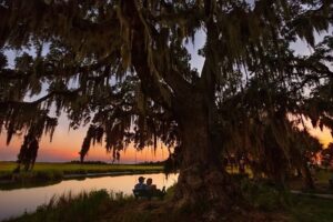 St. Simons Island image. 