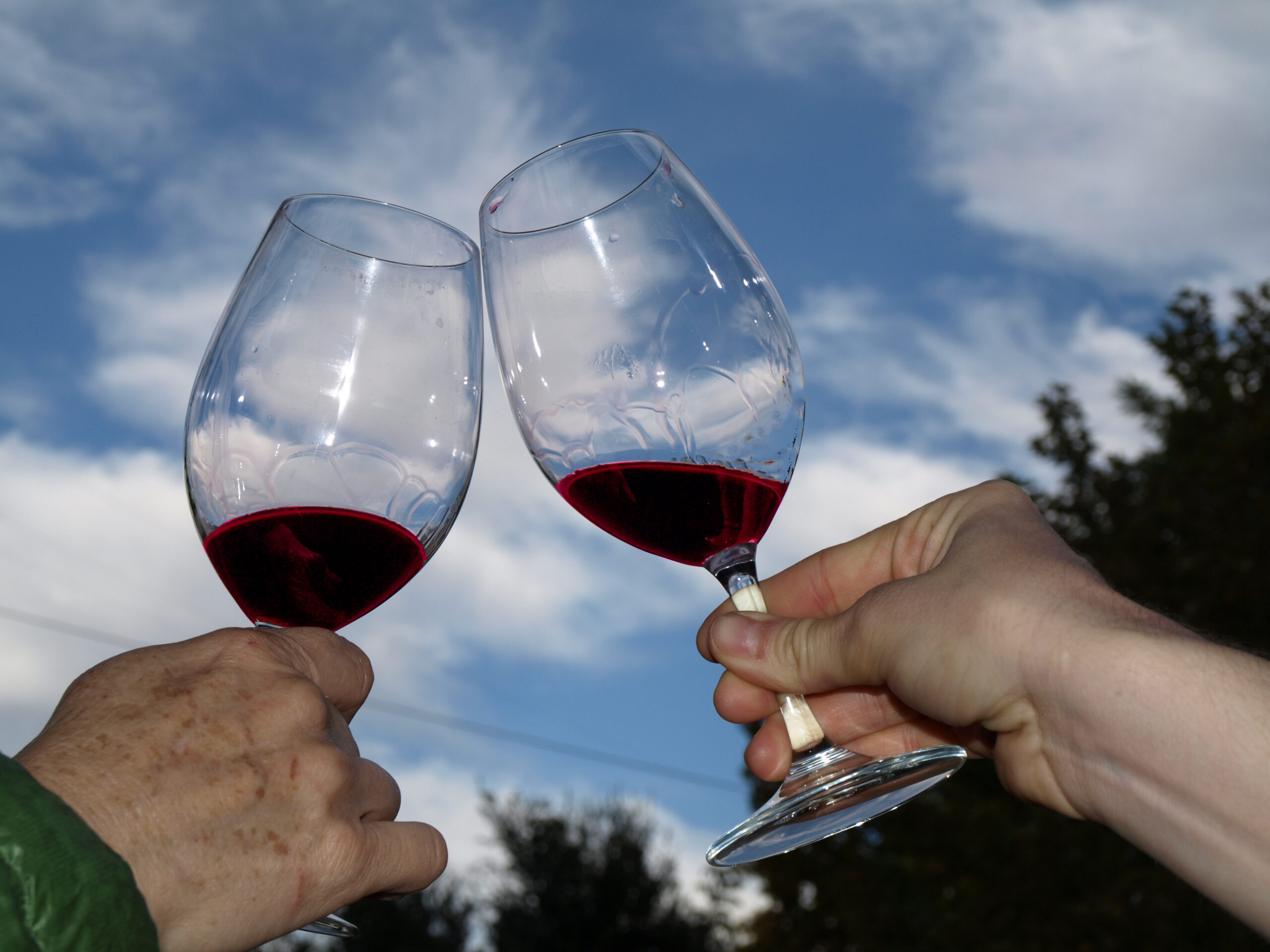 Napa Valley Celebrates Judgment of Paris 50 Year Anniversary